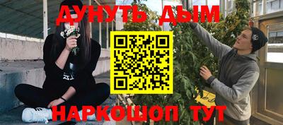 амф Сланцы