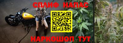 амф Сланцы