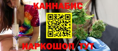 амф Сланцы