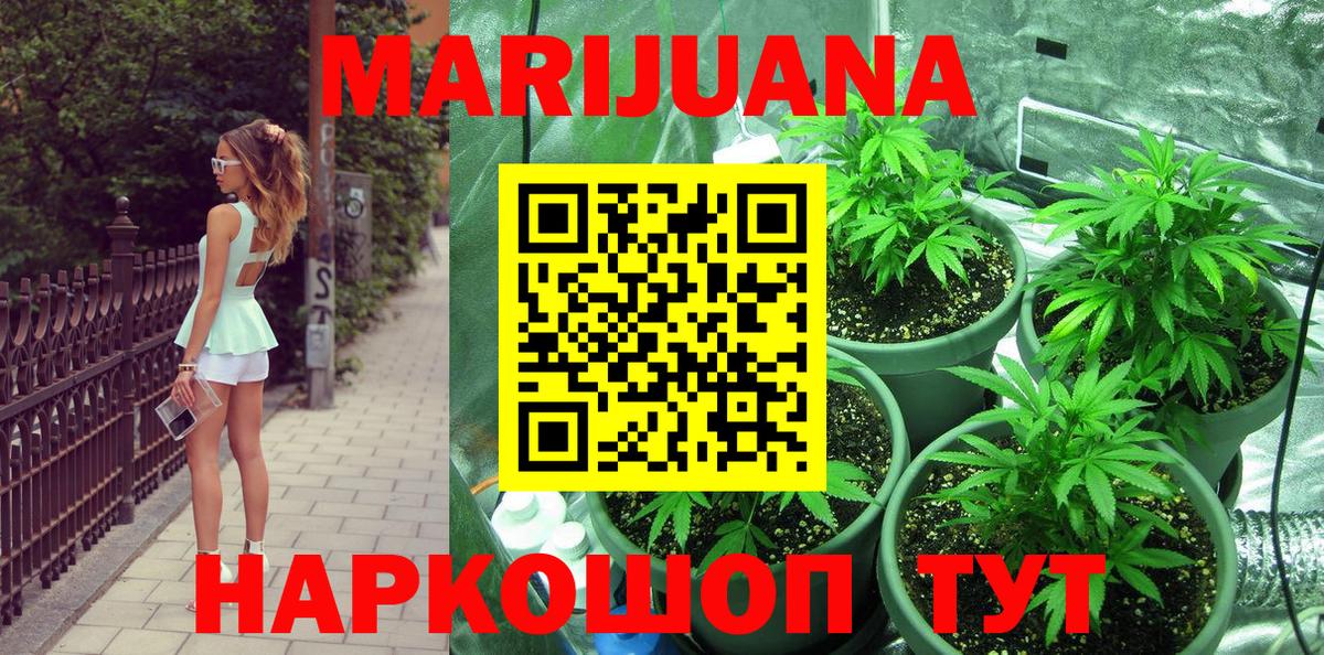 Бошки марихуана OG Kush Малгобек